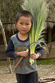 NSC-2012-11-25-Laos-Vietnam-01426.jpg